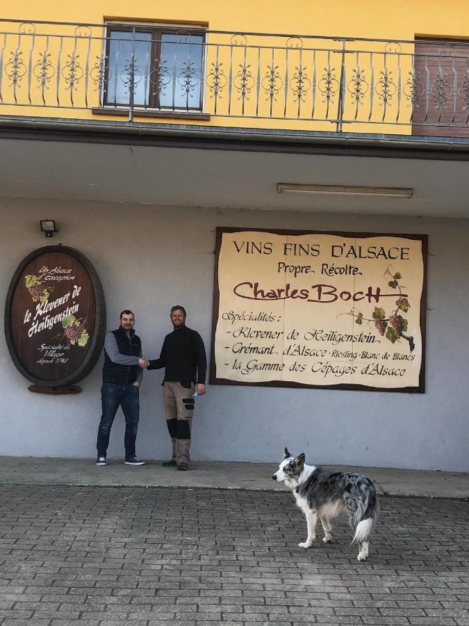 Sollaris 1ere Etage A 11km De Europa-park *